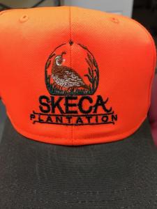 Skeca Sample 12-2016